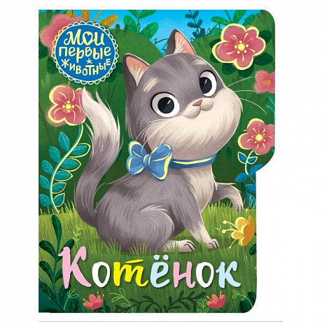 Фото Котёнок
