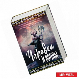 Чародеи и воины