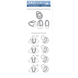 Пособие по эхокардиографии (Буклет Эхотека)