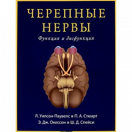 Черепные нервы. Функция и дисфункция