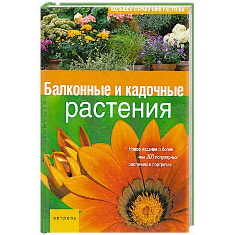 Фото Балконные и кадочные растения