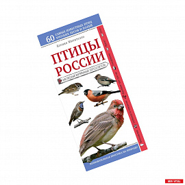 Птицы России. Наглядный карманный определитель