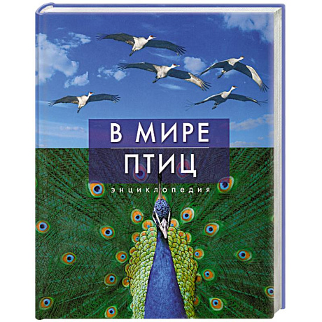 Фото В мире птиц
