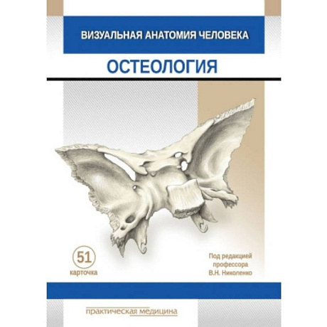 Фото Визуальная анатомия человека. КАРТОЧКИ. Остеология. 51 шт.