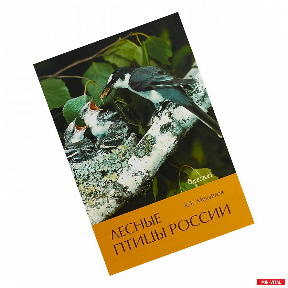 Фото Лесные птицы России