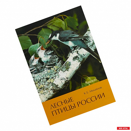 Фото Лесные птицы России