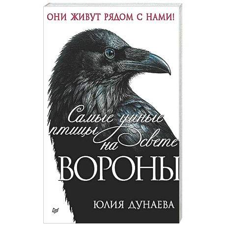 Фото Самые умные птицы на свете. Вороны