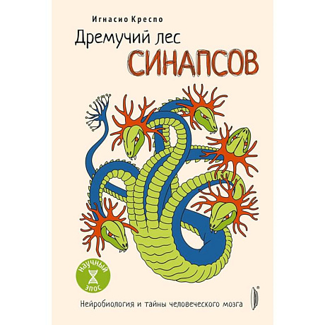 Фото Дремучий лес синапсов. Нейробиология и тайны челов