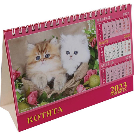 Фото Календарь Год кота. Котята на 2023 год