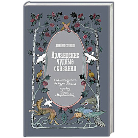 Ирландские чудные сказания