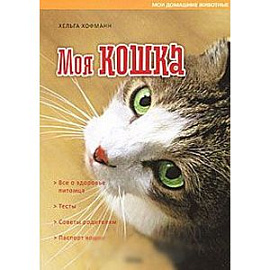 Моя кошка