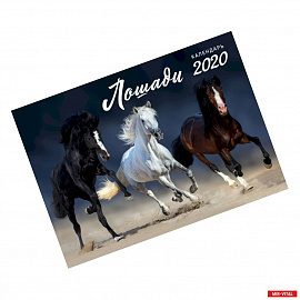 Лошади. Календарь настенный на 2020 год