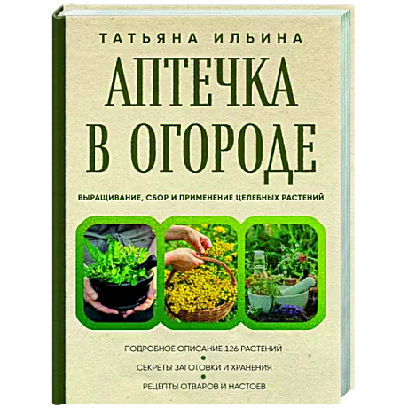 Фото Аптечка в огороде. Выращивание, сбор и применение целебных растений