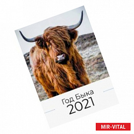Календарь 2021. Год быка