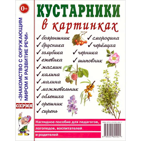 Фото Кустарники в картинках. Наглядное пособие для педагогов, логопедов, воспитателей и родителей