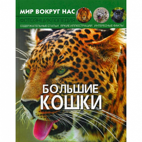 Фото Мир вокруг нас. Большие кошки