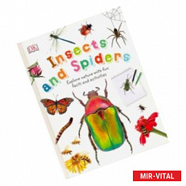 Nature Explorers. Insects and Spiders