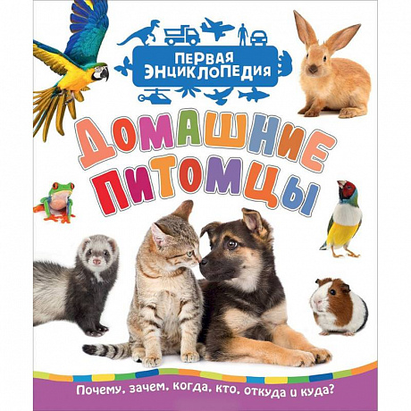 Фото Домашние питомцы