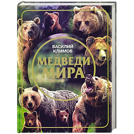 Фото Медведи мира