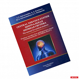 Central Nervous System / Центральная нервная система