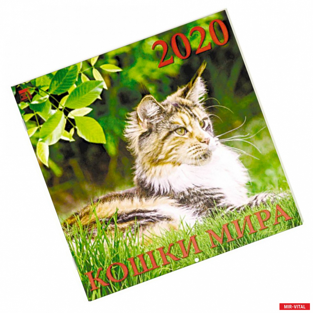 Фото Календарь 2020 'Кошки мира'