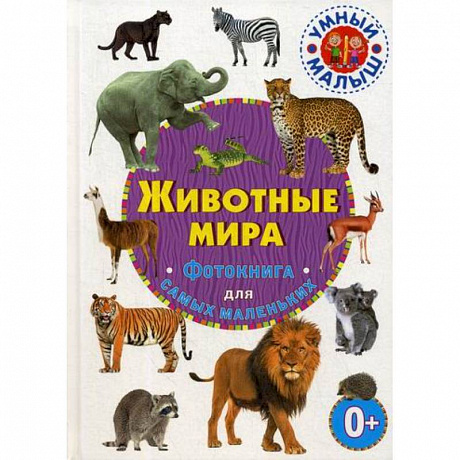 Фото Животные мира