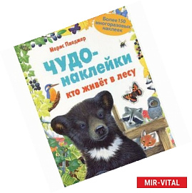 Кто живет в лесу