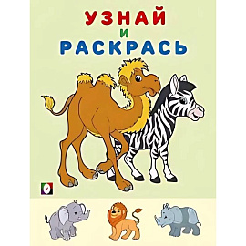 Зебра