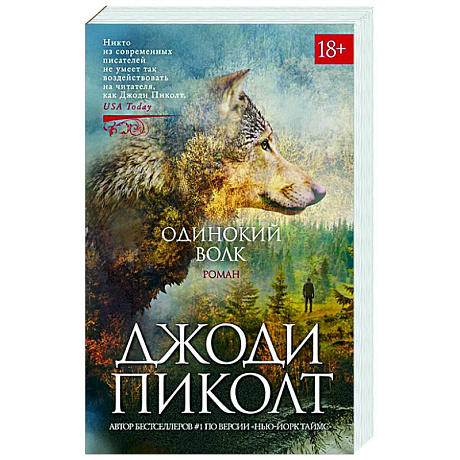 Фото Одинокий волк