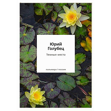 Фото Темные места. Вторая книга песен