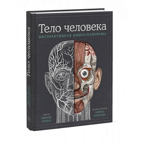 Фото Тело человека. Интерактивная книга-панорама