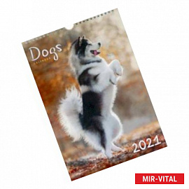 Календарь на 2021 год одноблочный малый 'Домашние любимцы. Дизайн 1' (КПВМ2104)