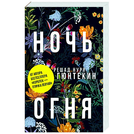 Фото Ночь огня