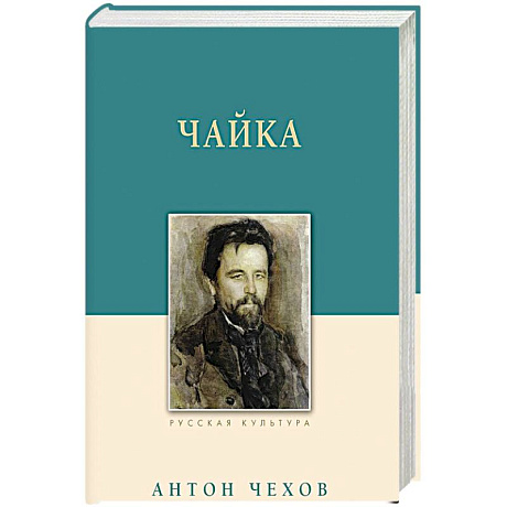 Фото Чайка