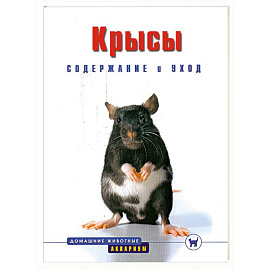 Крысы. Содержание и уход