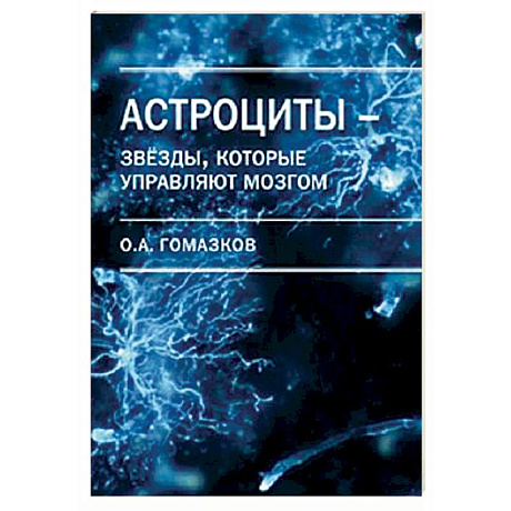 Фото Астроциты - звезды, которые управляют мозгом