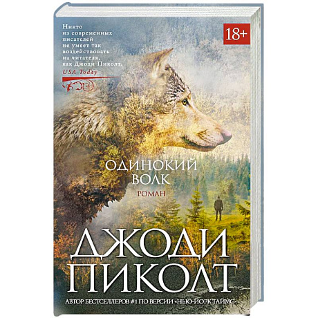 Фото Одинокий волк