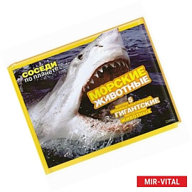 Морские животные. Внутри 5 объемных конструкций. Гигантские фотографии животных.