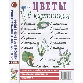 Цветы в картинках. Наглядное пособие для педагогов, воспитателей, логопедов, родителей.