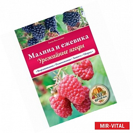 Малина и ежевика. Урожайные ягоды