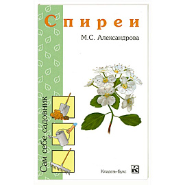 Спиреи