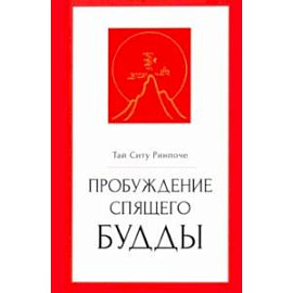 Пробуждение спящего будды