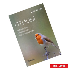 Птицы. Наблюдаем, определяем, фотографируем