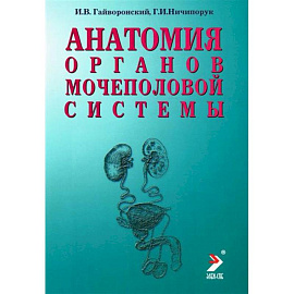 Анатомия органов мочеполовой системы. Учебное пособие