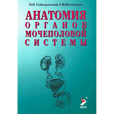 Фото Анатомия органов мочеполовой системы. Учебное пособие