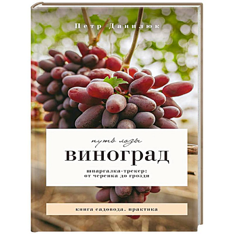 Фото Виноград. Путь лозы. Шпаргалка-трекер: от черенка до грозди
