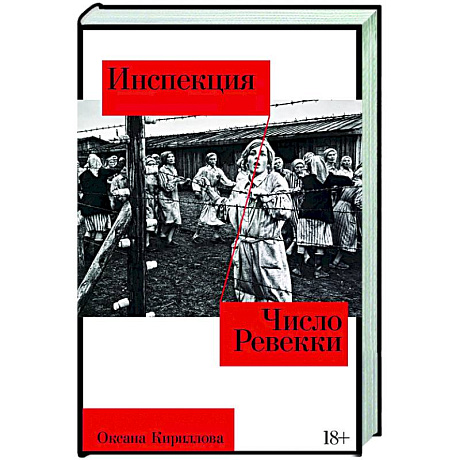 Фото Инспекция. Число Ревекки