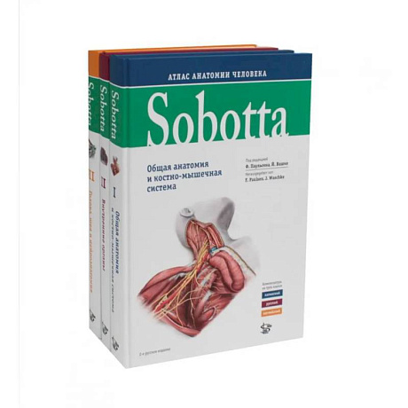 Фото Sobotta. Атлас анатомии человека. В 3 т (комплект из 3-х книг)