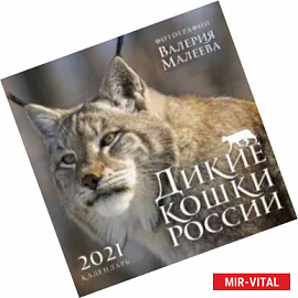 Дикие кошки России. Фотографии Валерия Малеева. Календарь настенный на 2021 год
