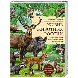 Жизнь животных России. Познавательная иллюстрированная энциклопедия